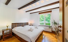 Pensiunea Casa Bono